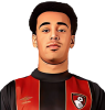 Tyler Adams